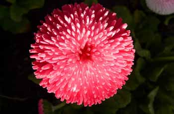 ddos在线攻击工具