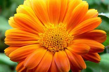 手机版ddos攻击器